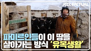 파미르인들이 이 땅을 살아가는 방식 '유목생활'🐑 JTBC 팩추얼(JTBC FACTUAL) | JTBC 210515 방송