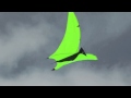 Pterodactyl Kites