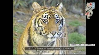 開園55周年　日本平動物園 ④　#150   【静岡市歴史めぐり まち噺し】