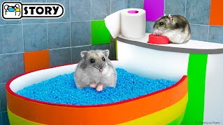 The Awesome Hamster Ball Maze 🐹 Homura Ham Pets