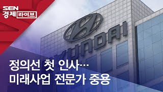 정의선 첫 인사…미래사업 전문가 중용