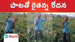 Telangana Farmer song  | కన్నీరు తెప్పిస్తున్న ఆవేదనతో కూడిన రైతున్న పాట