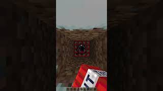 Did you do this in Minecraft #meme #memes #shorts