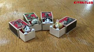 Match Box Cats Blind Box by Kitan Club