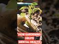 How Gardening Helps Mental Health #shorts #short #shortvideo