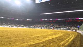 Bronc Riding Houston Livestock Show & Rodeo From Action Seats