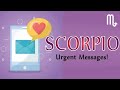 SCORPIO - You'll Be Overwhelmed By All The Attention And Love From This Person | May Tarot