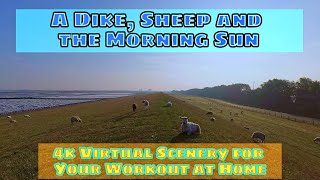 30 Minutes Super Relaxing Dike Scenery Walk for Treadmill, Elliptical and Walk at Home Workout