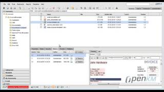 OpenKM- comparison between two versions of a document