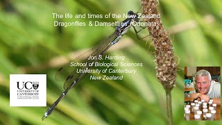 The life and times of New Zealand Dragonflies and Damselflies Odonata Jon Harding