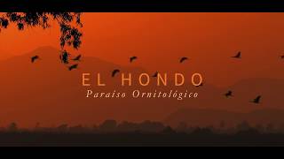 EL HONDO - A Birding Paradise