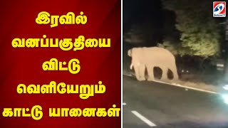 இரவில் வனப்பகுதியை விட்டு வெளியேறும் காட்டு யானைகள் | elephant