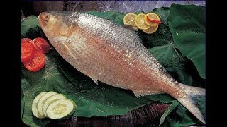 ব্যাচেলর স্পেশাল ইলিশ মাছের ঝোল রান্না। Bachelor special hilsa fish pottage recipe in Dhaka.