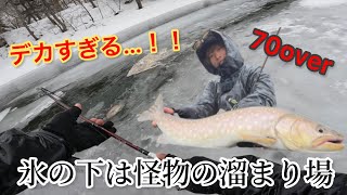 【氷の下の怪物】氷の下をミノーで巻いてくるとモンスターアメマスが...‼️