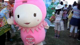 ご当地 キャラクターフェスティバル in すみだ2015 　大横川親水公園で見つけたいろいろなキャラクターたち