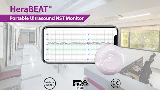 NST Monitoring with HeraBEAT in Dr Mode