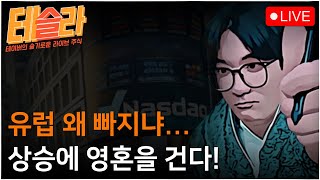 [테슬라 0219] 오늘 나스닥은 오릅니다! 왜냐구요? 제가 롱에 걸었거든요