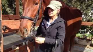 Fitting and Using a Double Bridle Part 1