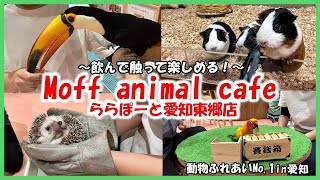 【Moff animal cafe ららぽーと愛知東郷店】動物ふれあいNo 1in愛知～飲んで触って楽しめる！～