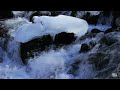 【4k】長野・渓流の飛沫氷 1　splash ice in mountain stream