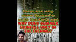 கோடைகால மழை மாலை நேரங்களில் மட்டும் பெய்கிறதே ஏன் Why does summer rainfall only in the evening