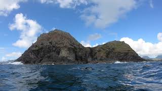 Swim around Mokes 6-28-20