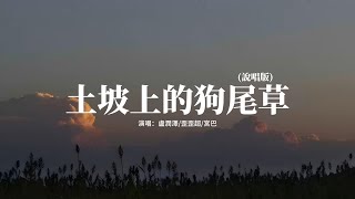 盧潤澤/歪歪超/宮巴 - 土坡上的狗尾草 (說唱版) 『土坡上狗尾巴草搖啊，搖得人眼淚掉，你那頭月亮照不照得到，唱首狗兒的歌謠，我的小黃你卻已聽不到。』【動態歌詞MV】