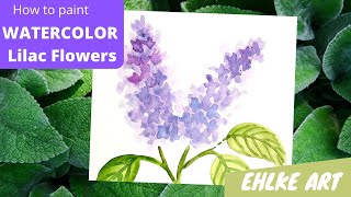 How to paint WATERCOLOR LILAC FLOWERS - beginning watercolor