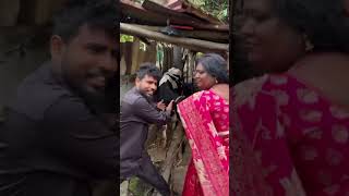 🤯Happy Mattu Pongal🐄🌾🔥watch till end😂🤣 #comedy #slang #aamavaa #funny #tamilcomedy #fun