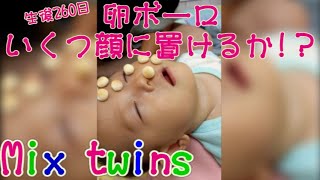 【双子-mix twins-】顔に卵ボーロ置いてみた(生後9カ月目)　I put an egg bolo on baby face