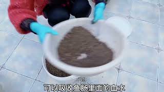 841 鱼肠肥是高磷高钾高蛋白的肥料 用来养花种菜种果树都长得非常好