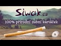 siwak® přírodní zubní kartáček zažijte změnu. změňte rutinu. stačí použít