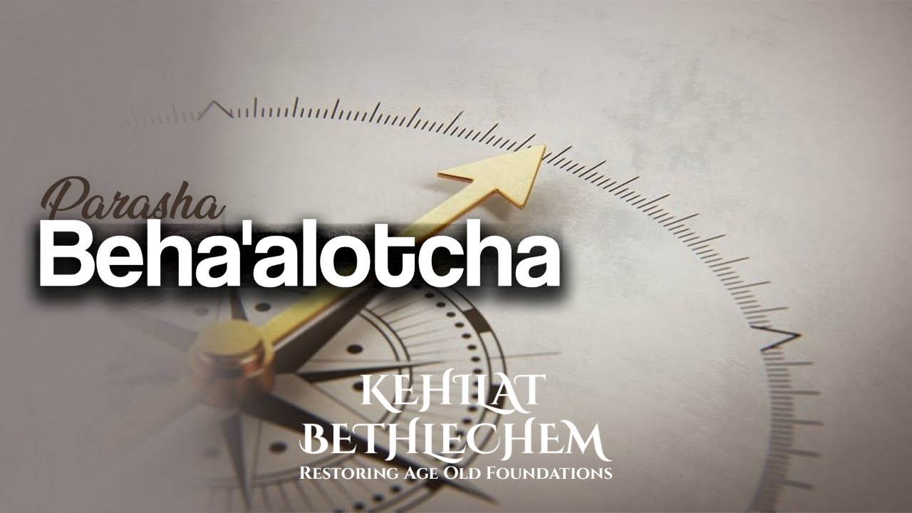 Torah Portion | Beha'alotcha - בְּהַעֲלֹתְךָ | When You Set Up - YouTube