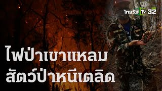 ภาวะโลกร้อง : สะพรึง! ไฟป่าเขาแหลม-สัตว์ป่าหนีเตลิด | 30-03-66 | ไทยรัฐเจาะประเด็น