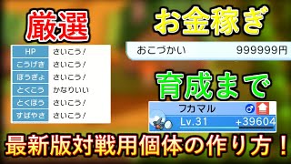 【ポケモンBDSP】初心者必見！最新版、厳選から育成まで最効率で行う方法について解説します！【ダイパリメイク】