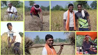 The Silent Organic Revolution of Dantewada