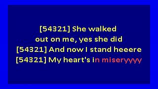 Vanguards – Somebody Please (karaoke)