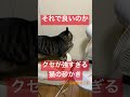 クセが強すぎる猫の砂かき