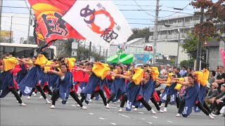 朝霞鳴子一族め組・第14回つるせよさこい祭り・2019年10月20日。