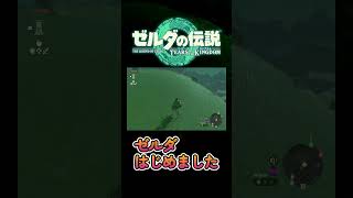 馬宿ポイント【ゼルダの伝説 ティアーズ オブ ザ キングダム】 #ゼルダの伝説 #ゼルダの伝説ティアーズオブザキングダム #実況