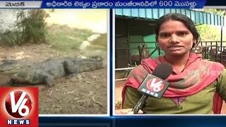 Manjeera River Basin People in Panic Situation with threat of Crocodiles | Medak