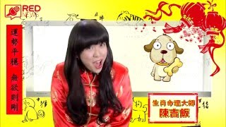 RED NEWS 紅人主播 2016/02/12 （2016新年特輯之“吉飯大師猴年猴命理解析！”）