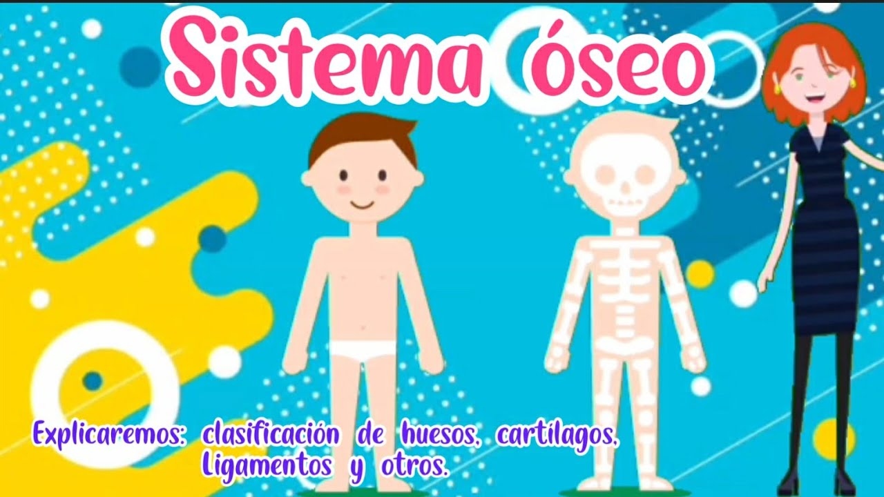 El Sistema Oseo Para Ninos De Nivel Inicial Youtube – eroppa