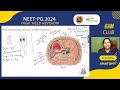 adrplexus anatomy last minute high yield revision for neet pg 2024 dr rajkohila md anatomy