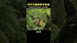 男孩和小雪上山收獲紅色少見果子，下山賣完買雞蛋吃 #荒野求生 #荒野独居 #求生挑战 #生存挑战 #荒野