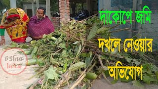 দাকোপে রাতের আধারে ফলন্ত গাছ কেটে জমি দখলে নেওয়ার অভিযোগ