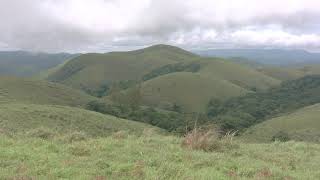 Amazing View of grasslands..                Sabarimala traditional trekking route