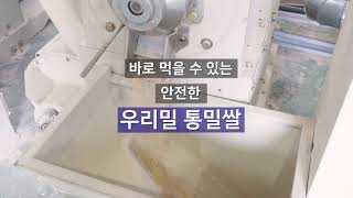 건강하고 깨끗한 우리밀 통밀쌀에 대해 아시나요