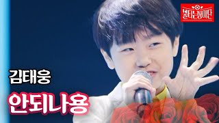 김태웅 - 안되나용 ｜불타는 장미단 31회 MBN 231114 방송