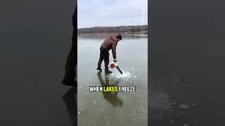 Frozen Lake Hack